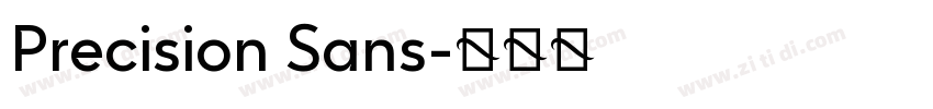 Precision Sans字体转换